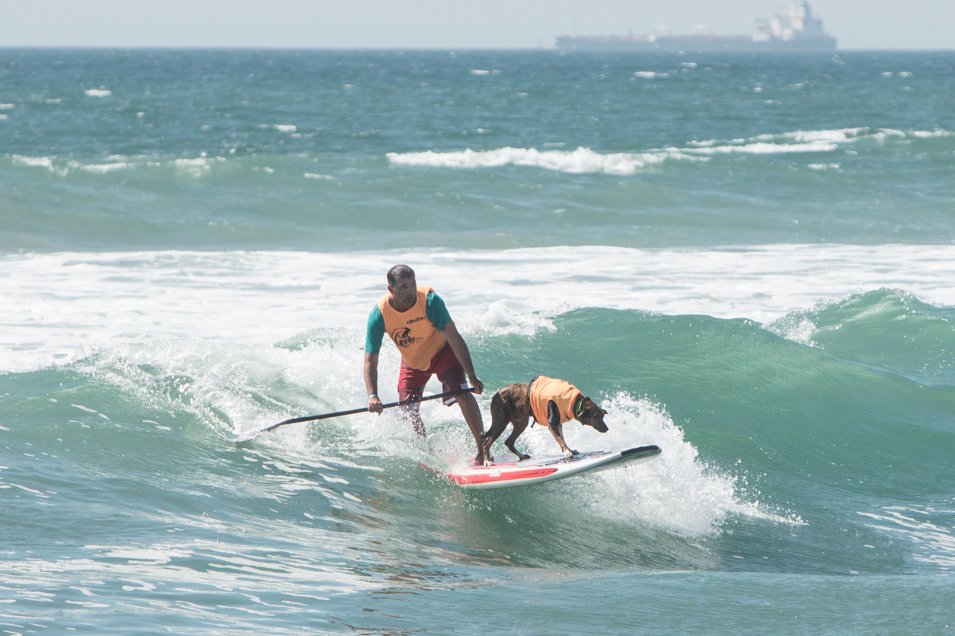 Huntington Dog Beach - Orange County Outdoors